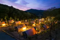 Cheonan Monkey Camping Site