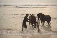 Tabitha Tunak Resort - Beach