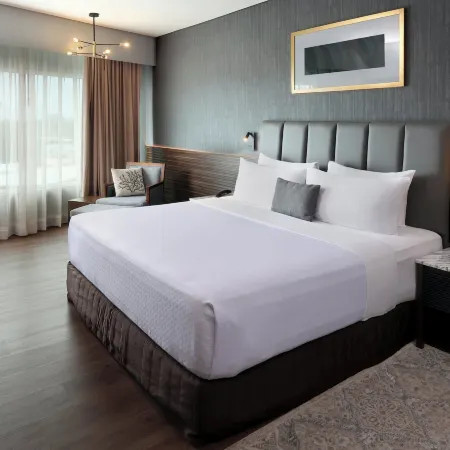 Crowne Plaza VILLAHERMOSA by IHG