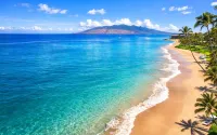 New Kbm Resorts Ocean Views Free Car Wailea Ekahi 1-Bedroom Condo with Luxury Amenities Wkv-45C - bar
