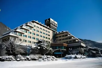 Danyang Tourist Hotel Edelweiss Отели в г. 