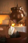 阿爾帕維拉姆度假屋 果阿 - SPA
