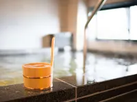 Superhotel Takamatsu Tamachi - Горячие источники