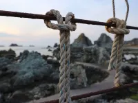 Hotel Mancho - Ocean View