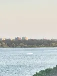 The River Condos - Condos