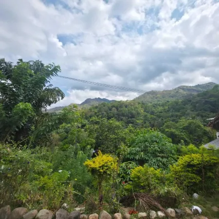 Hill Side Resort - Ella