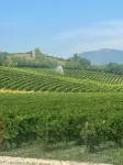 Agriturismo Camerin - CL Agri Lounge - Wifi