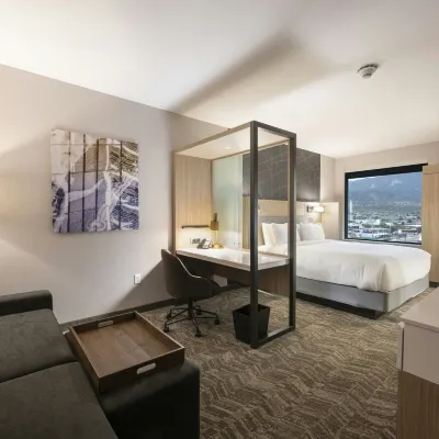 SpringHill Suites Colorado Springs Downtown Hotels near Groome Transportation