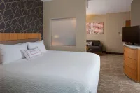 SpringHill Suites St. Louis Airport/Earth City - WiFi