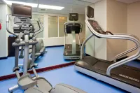 SpringHill Suites Rochester Mayo Clinic Area/Saint Marys - Kuntosalit