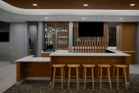 大急流城機場東南萬豪SpringHill酒店 - 酒吧
