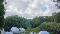 Kingdom Glamping Resort - 3 ดาว