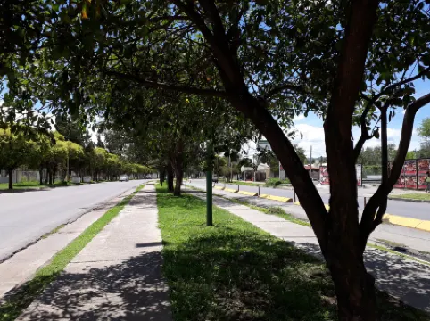 Virgen Del Cerro Apartments