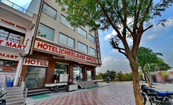 OYO 9753 Hotel Cheelgadi