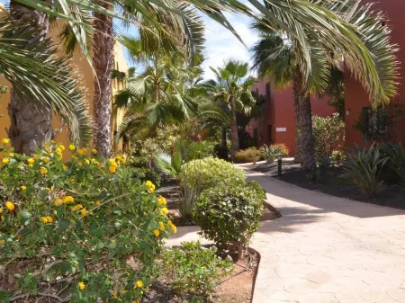 Tamarindo Piscinas de Agua Salada + Fibra Optica