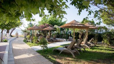 a large outdoor area with several lounge chairs and umbrellas , creating a relaxing atmosphere for guests at Hotel Summery