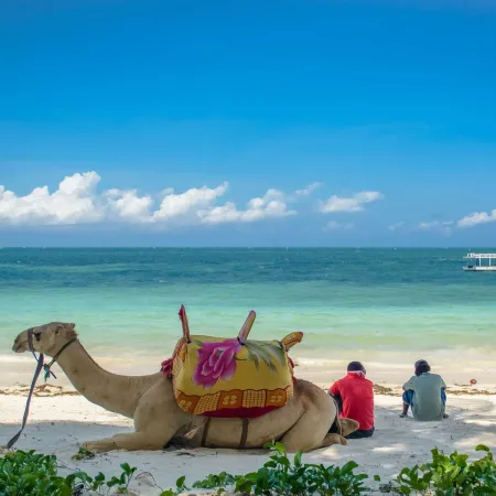 Sarova Whitesands Beach Resort & Spa, Mombasa