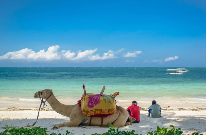 Sarova Whitesands Beach Resort & Spa, Mombasa photo 2
