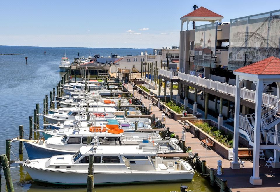 Rod 'N' Reel Resort-Chesapeake Beach Updated 2023 Room Price-Reviews u0026  Deals | Trip.com
