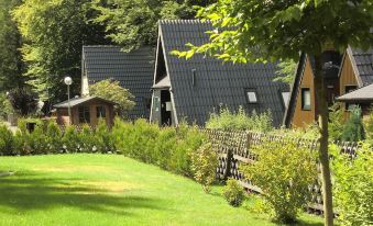 Waldsee Feriendienst 'Ferienpark am Waldsee'