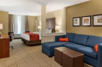 Comfort Inn & Suites Amish Country Hotels in Salisbury Township