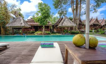 My Dream Bali