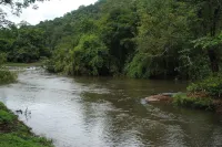 Bethania Resort Hotels in Konnakuzhy