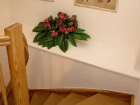Hotel am Rathaus Hotels in Neckargemund