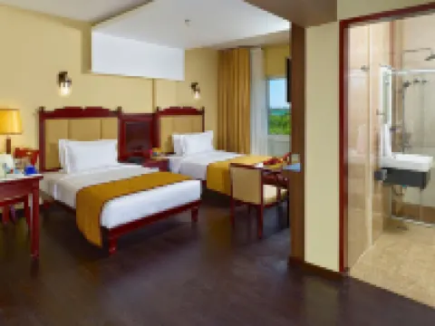 巴爾米拉套房大飯店 蒂魯內爾維利住宿飯店