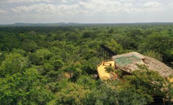 Yala Safari Camping - All Inclusive