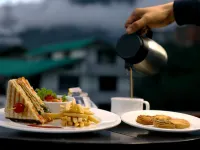 The Orchid Manali - a Boutique Hotel Hotels in Kullu District