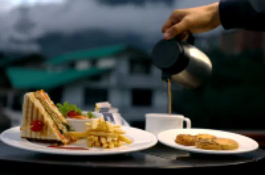 오키드 마날리 - 부티크 호텔