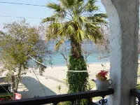Captain's Beach Apartments - Ocean View