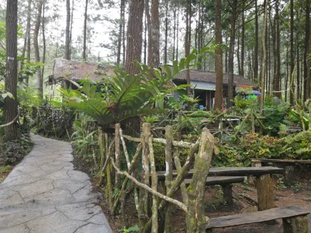 Jajapin Campsite Galunggung Nangreu Отели в г. Sukaratu