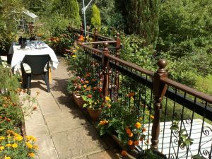 Cilbrwyn Countryside Retreat