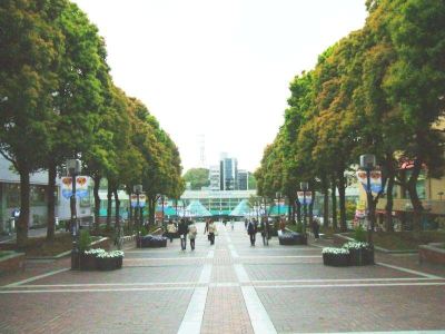 ホテル周辺 京王プラザホテル多摩の写真