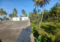 Eco Tree Inn Villa