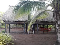 Hostal Pachamama Hotels in 