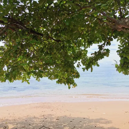 Libong Anda View