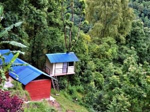 Jungle Crown Organic Homestay