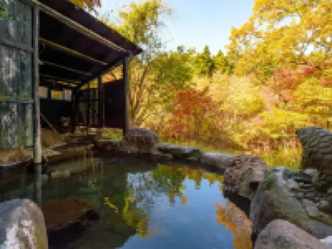 九重いやしの里 ホテル大高原 九重のホテル