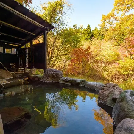 Hotel Daikogen