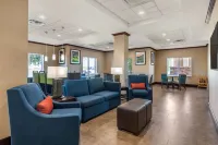 Comfort Inn & Suites Hotels in Big Spring
