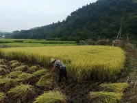 Shixing Hot Water Lake Hot Spring Leisure Farm