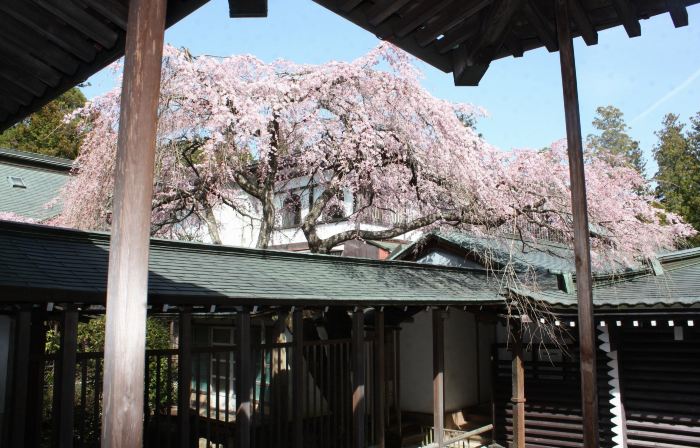 Fukuchi-IN