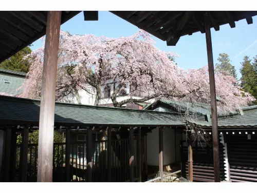 Fukuchi-IN - 3-Star