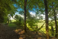 Old Tuscany's Hills - Beautiful House Close to Florence