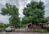 Meremeta Lodge Hotels in Mafia