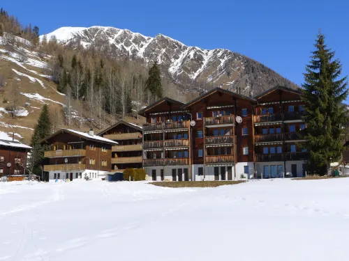 Diana - Homestays