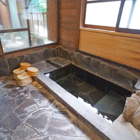 Hot Spring Inn Banya